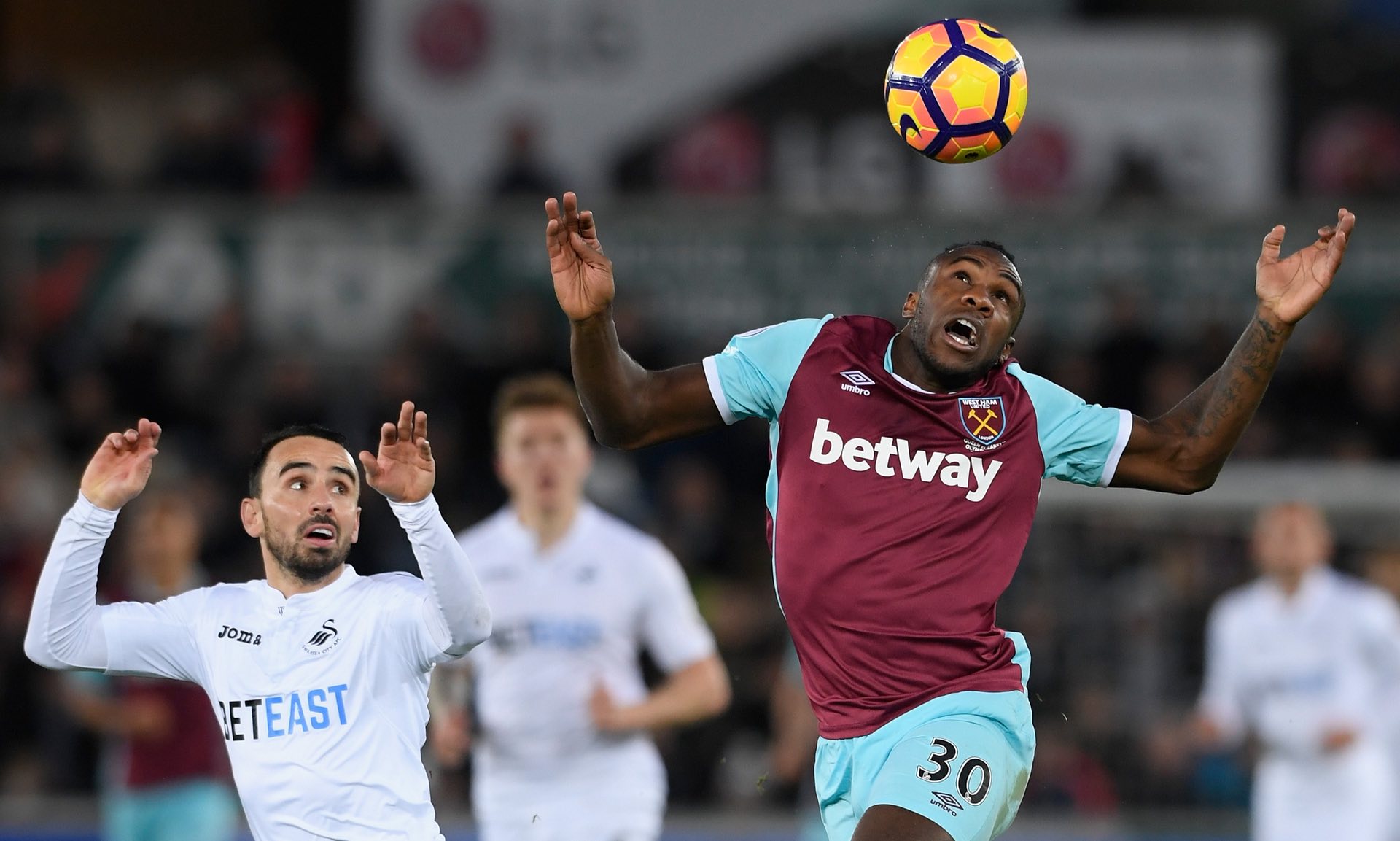 在本文中 在本文中